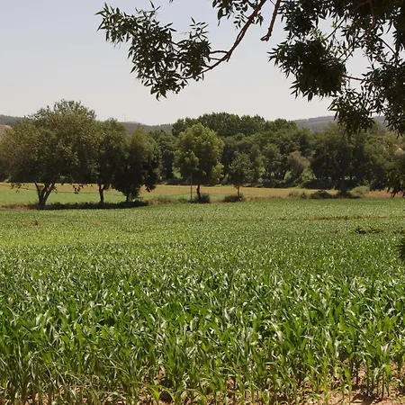 Séjour à la ferme Quinta Ponte Da Capinha