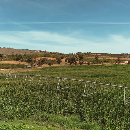 مزرعة للإقامة Quinta Ponte Da