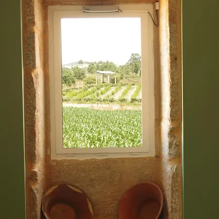 Alojamento de Turismo Rural Quinta Ponte Da Capinha