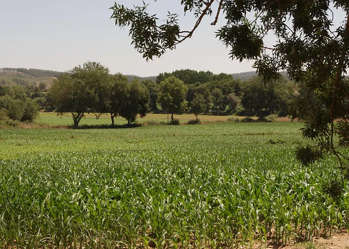 Alojamento de Turismo Rural Quinta Ponte Da Capinha