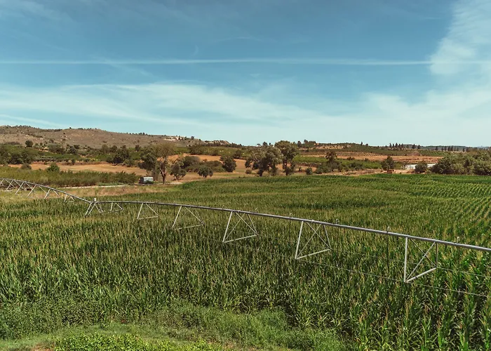 Alojamento de Turismo Rural Quinta Ponte Da